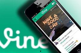 vine在线观看,轻松在线观看，畅享精彩瞬间